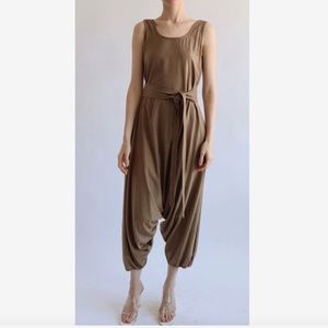 Electric Feathers brown raw silk jumpsuit